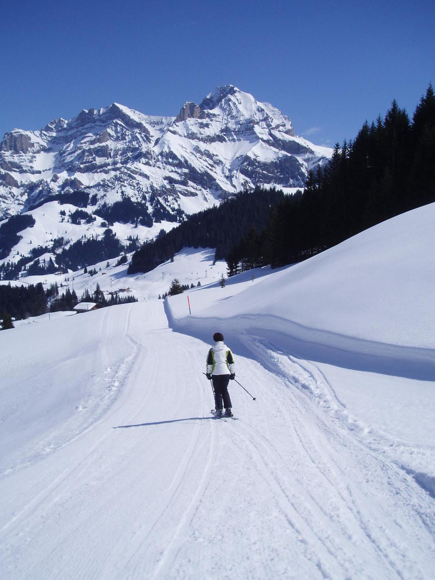 Des Alpes Hotel
