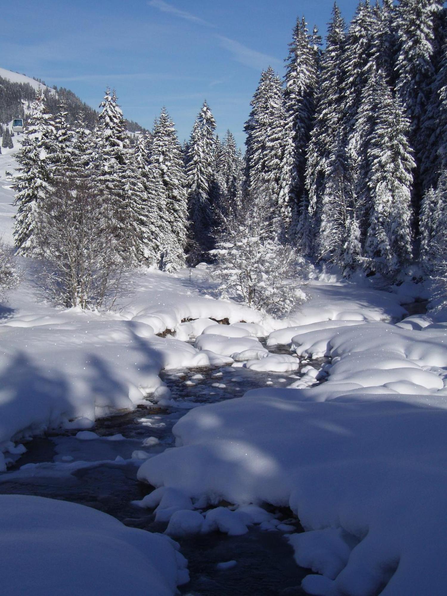 Des Alpes 3*