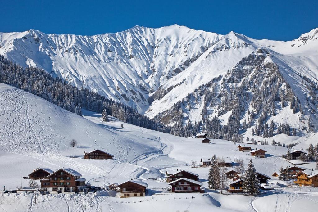 Des Alpes Adelboden