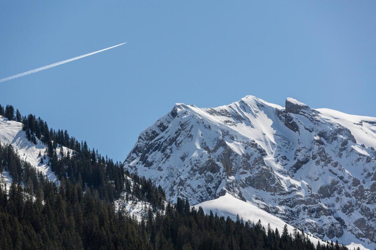 Hotel Des Alpes 3*