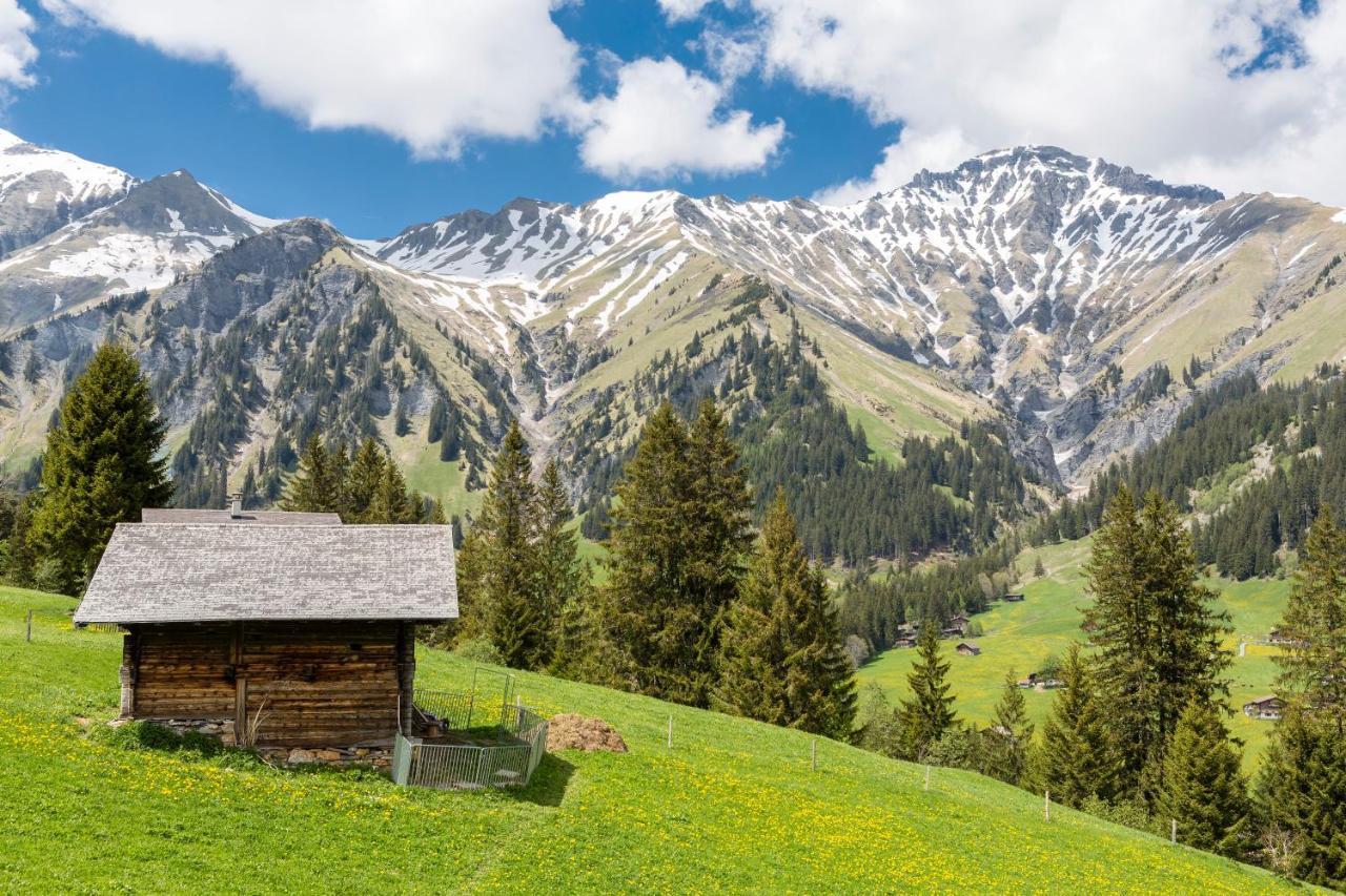 Des Alpes Adelboden